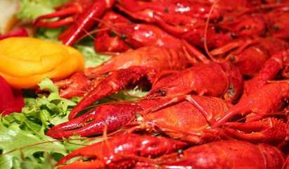 摩爾莊園麻辣小龍蝦 用產品與服務贏得美食消費者